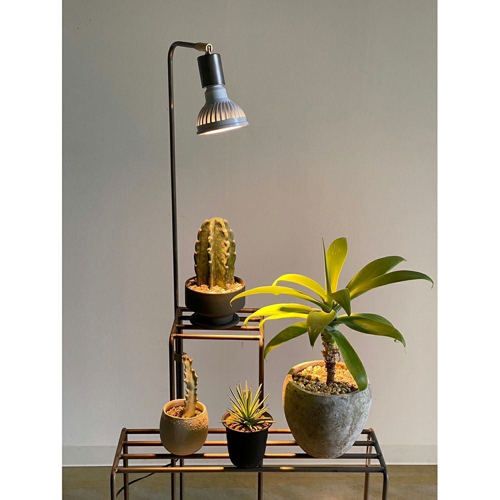 インテリアライト Plants NEXLIGHTプランツ ネクスライト | フレックスギャラリー