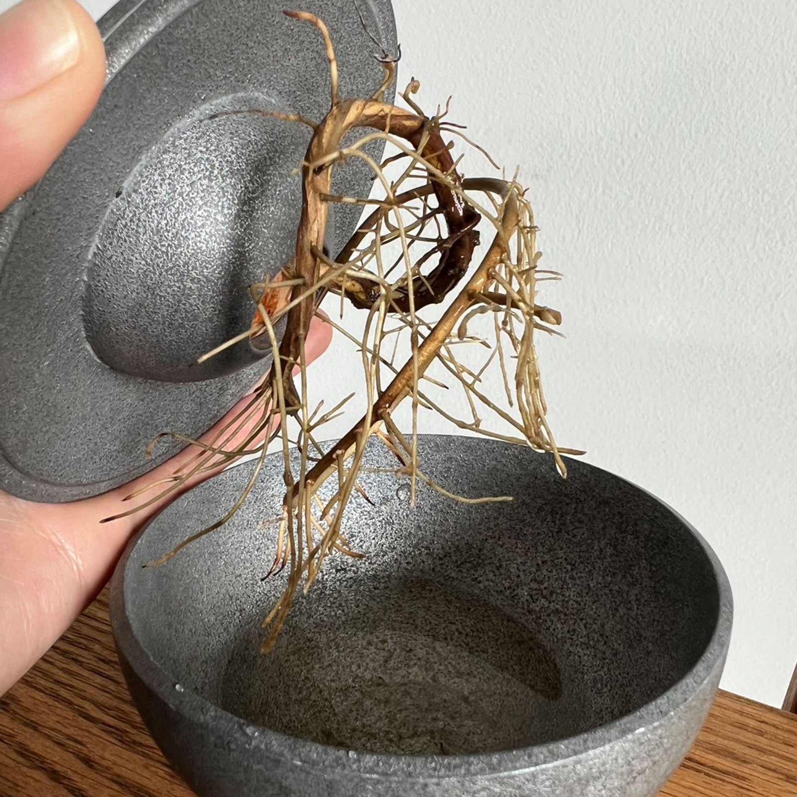 【一点物】アボカドの種から彫り出した「情熱のミニ薔薇」 AVOCARD POT /アボカドポット | フレックスギャラリー